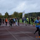 szatf 15